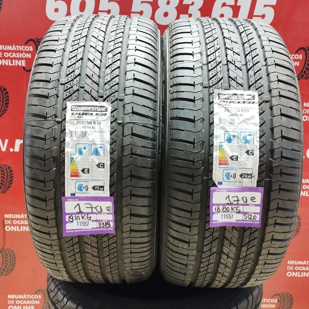 2x 225 50 R19 107H XL BRIDGESTONE DUELER DOT: 3319/5120 (SIN USO) Ref.11557