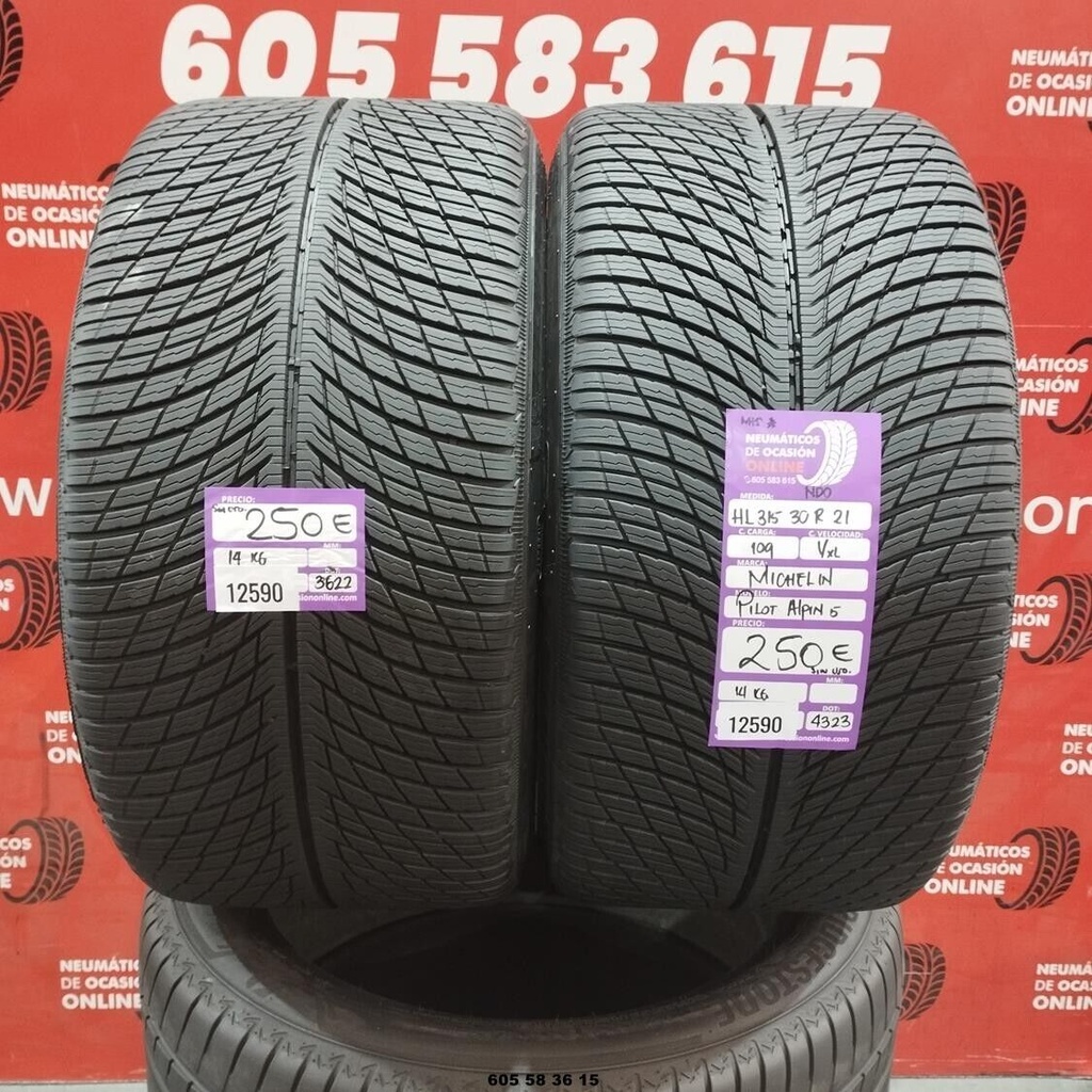 2x 315 30 R21 109*VXL MICHELIN PILOT ALPIN DOT: 3622/4323 (SIN USO) Ref:12590