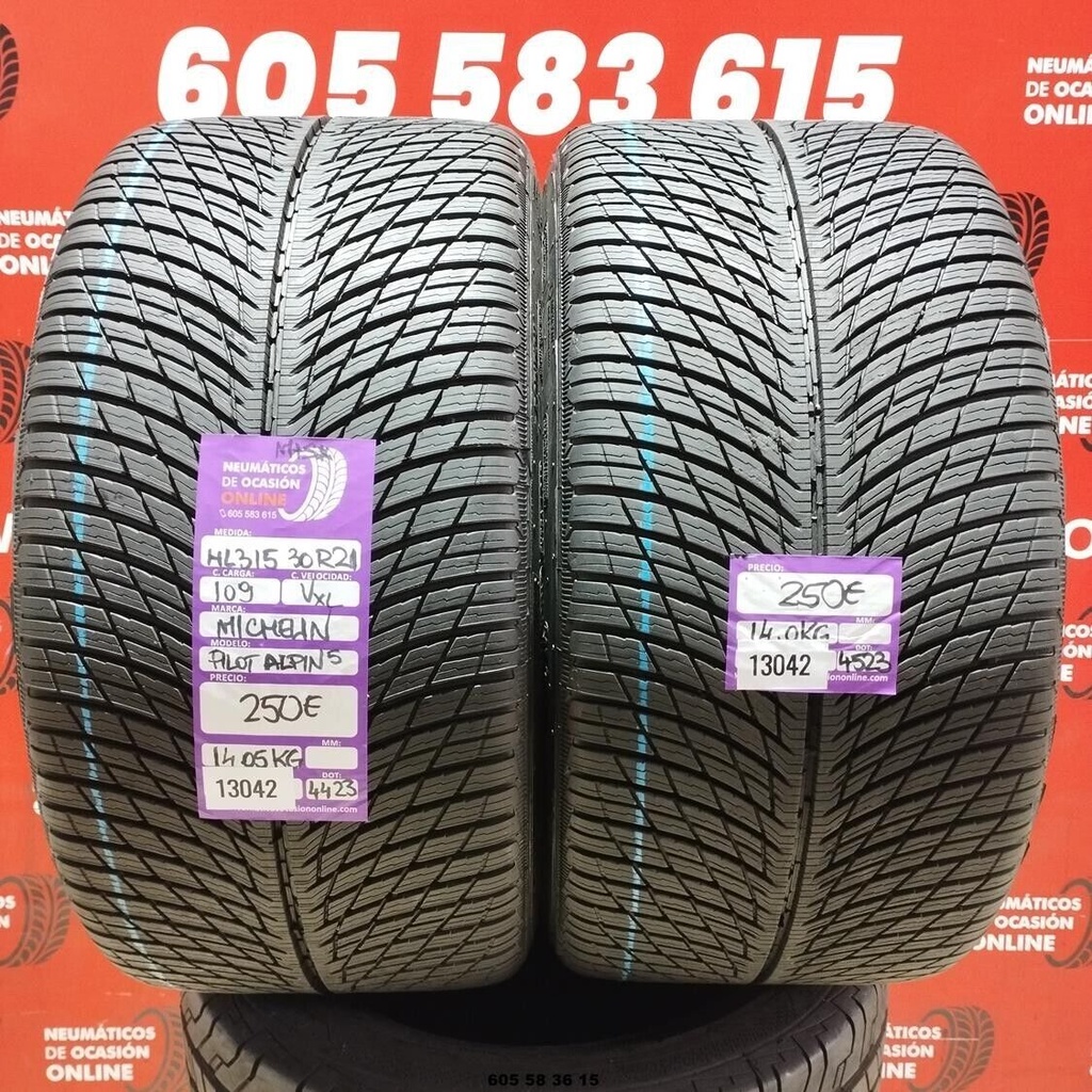 2x 315 30 R21 109VXL MICHELIN PILOT ALPIN5 DOT: 4423/4523 (SIN USO) Ref:13042